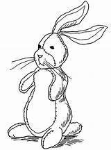 Rabbit Coloring Pages Kids Print Color Children Simple Printable Justcolor sketch template