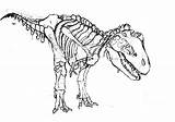 Rex Coloring Dinosaur Skeleton Drawing Pages Tyrannosaurus Printable Bones Choose Board Kids Template sketch template