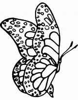 Farfalla Farfalle Disegnidacolorareonline Stampare Articolo sketch template