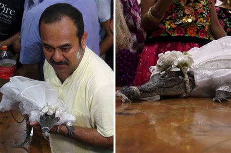 mexican mayor marries a crocodile to bring him good luck daily star