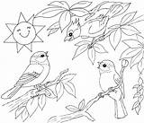 Coloriage Oiseaux Oiseau Coloriages Printemps Colorier Foret Paisaje Animaux Qui Dessus Nid Chantent Chantant Aimable Printemp sketch template