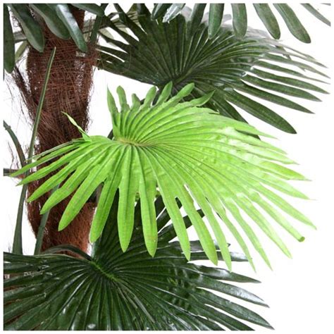mini palm ft artificial plants