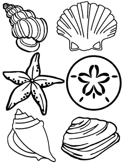 shells coloring pages clipart