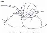 Spider Crab Draw Drawing Step Arachnids Necessary Improvements Finally Finish Make Tutorials Drawingtutorials101 sketch template