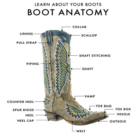 boot anatomy  gringo boots