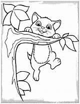 Gatos Tiernos Dibujos Perros Gatitos Colorearimagenes Perritos sketch template