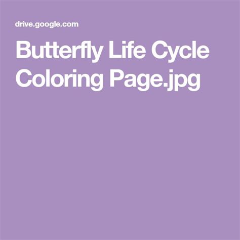 butterfly life cycle coloring pagejpg  images butterfly life