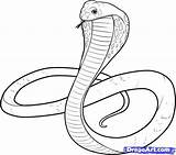 Cobra Snake Drawing King Coloring Pages Drawings Sketch Kids Outline Coiled Snakes Tut Cartoon Serpent Painting Draw Printable Head Simple sketch template