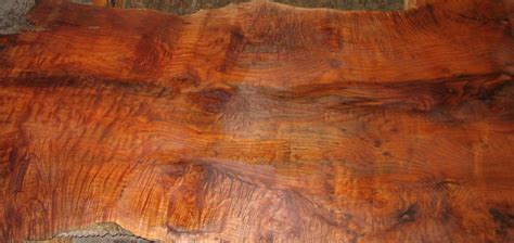 beautiful wood wood woodworking tips