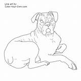 Boxer Coloring Pages Dog Down Laying Color Drawing Line Printable Kids Cattle Australian Own Lying Drawings Getcolorings Getdrawings Print sketch template