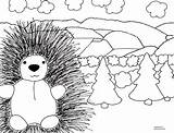 Coloring Pages Porcupine Cliparts Cute Clipart Library sketch template