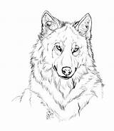 Deviantart Fran Choose Board Tra Sevas Wolf sketch template