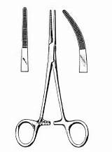 Kelly Forceps Hemostatic Curved Straight Crile Hemostat Procedures Surgical Lab Ec Quizlet sketch template