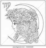 Virgo Zodiac Coloring Adult Line Vector Lightbox Young Create sketch template