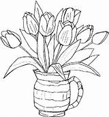 Daffodil Coloring Flower Getcolorings sketch template