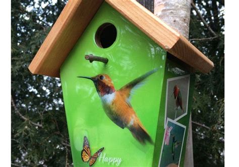 hummingbird bird house plans