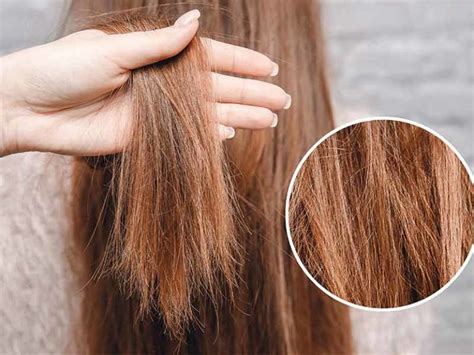 repair damaged hair  secrets  misses lewigs