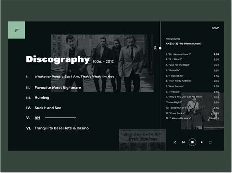 discography  player  iva planinic  dribbble