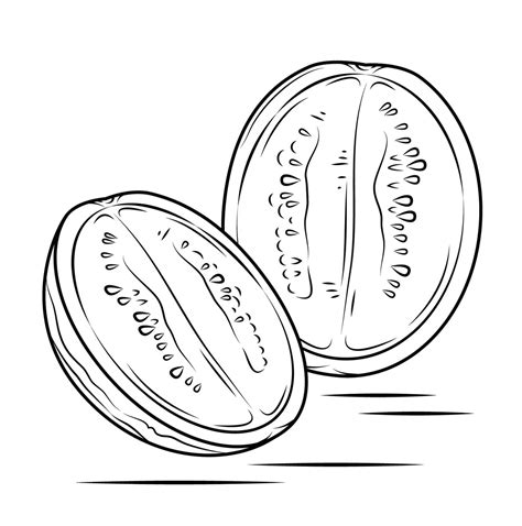 watermelon coloring pages  coloring