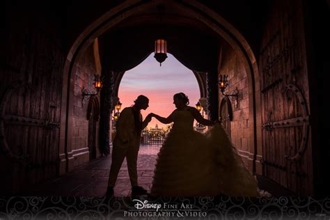 Disney Fairytale Wedding — A Dream Is A Wish Your Heart Makes
