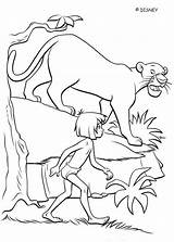 Mowgli Coloring Bagheera Pages Talks Jungle Book Hellokids Print Color sketch template