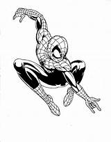 Spiderman Coloring Pages Ultimate Suit Drawing Spider Man Color Printable Getdrawings Hedgehogs Clipart Getcolorings Library Popular Print sketch template