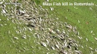 mass animal deaths  wow      doors