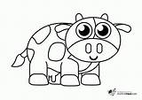 Vacas Vaca Colorear Coloringcity sketch template