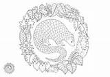 Pangolin Pango Coloring sketch template