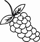 Anggur Grapes Mewarnai Buah Uva Kolase Animasi Marimewarnai Buahan Kartun Paud Terbaru Bestcoloringpagesforkids sketch template