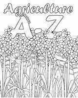 Agriculture Coloring Activities Book Ag Printable Ffa Farm Education Kids Classroom Pages Colouring Alphabet Template Activity Farming Excellent Science Worksheets sketch template
