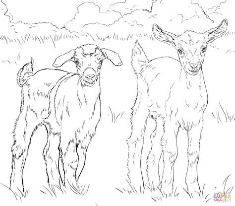 pin  angela beavers  coloring pages  goats   goat art