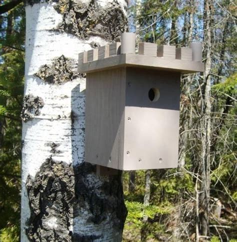 swallow bird house plans images  pinterest birdhouses bird houses  swallow bird