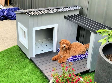 build  diy dog house step  step instructions