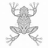 Adult Coloring Frog Vector Illustration Modern Amphibian Coloration Trend Elements Decorative Background Fashion Stock sketch template