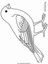 Vogel Vorlage Vögel Boyama Malvorlagen Muhabbet Resmi Okul Hayvanlar Etkinlikleri Uccello 2312 sketch template