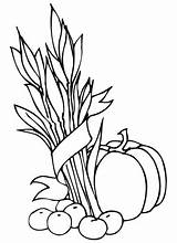 Coloring Wheat Pumpkin Apples Sheaf Pages Printable Supercoloring Color sketch template