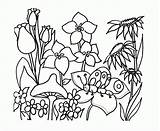 Coloring Garden Pages Flower Spring Kids Printable Colouring Flowers Drawing Clipart Color Drawings Preschool Outline Protein Print Cliparts Clip Gardens sketch template