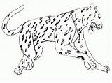 Coloring Pages Jaguar Animals Animal Realistic Kids South Drawing Simple America Print American Printable Jumping Color Jungle Step Big Drawings sketch template