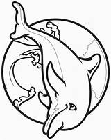 Dolphin Coloring Pages Site Coloring2print sketch template