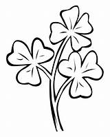 Clover Shamrock Clipart Line Clip Cliparts Coloring Library Pages High Codes Insertion Link Quality sketch template