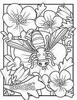 Coloring Pages Seeds Bee Seed Curriculum Resources Pollinators Comments sketch template