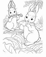 Bunny Rabbit Coloring Drawings Wild Popular Pages sketch template