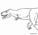 Rex Tiranosaurio Colorare Tyrannosaurus Disegni Dinosauri Colorier Preistoria sketch template