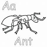 Coloring Ant Pages Atom Anteater Kids Ants Printable Getdrawings Getcolorings Colorings Man sketch template