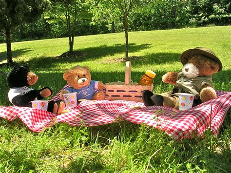 Plan The Perfect Teddy Bear S Picnic Birthday Party Wicked Uncle Blog
