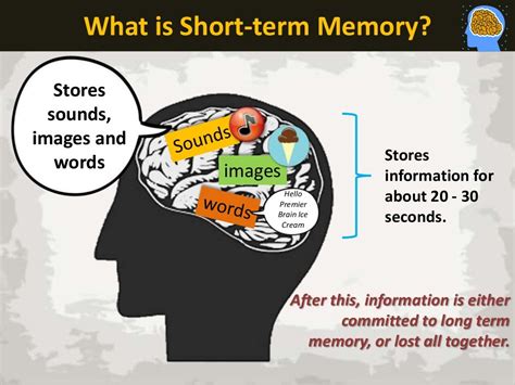 short term memory characteristics