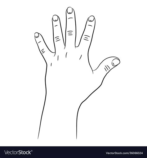 hand   fingers raised  sketch draw  vector image