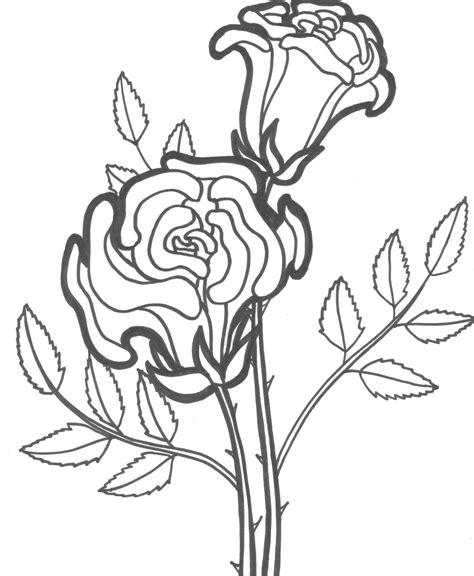 cool rose coloring pages  adults amarelogiallo
