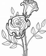 Coloring Rose Pages Roses Printable Flower Kids Flowers Dead Sheets Print Simple Drawing Colouring Worksheets Happy Lovely Color Plant Birthday sketch template
